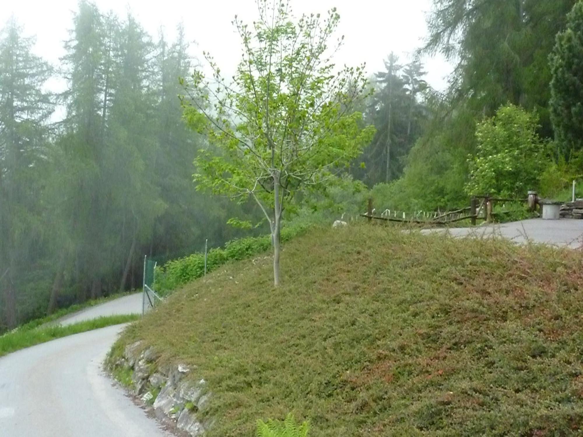 Le Vatzerou Apartamento *