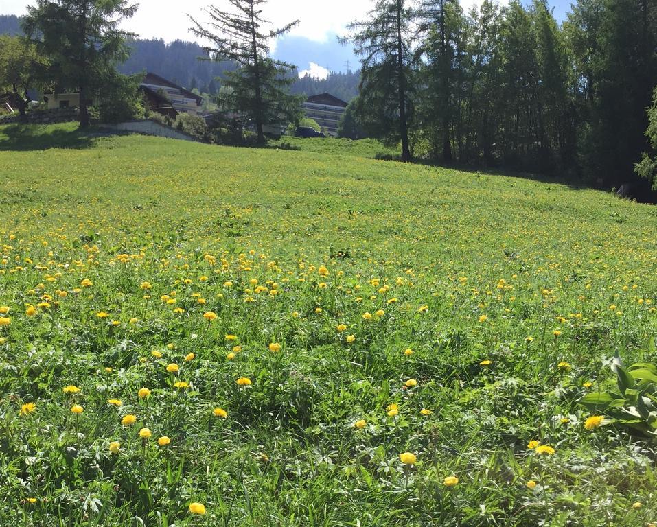 Le Vatzerou Apartamento *